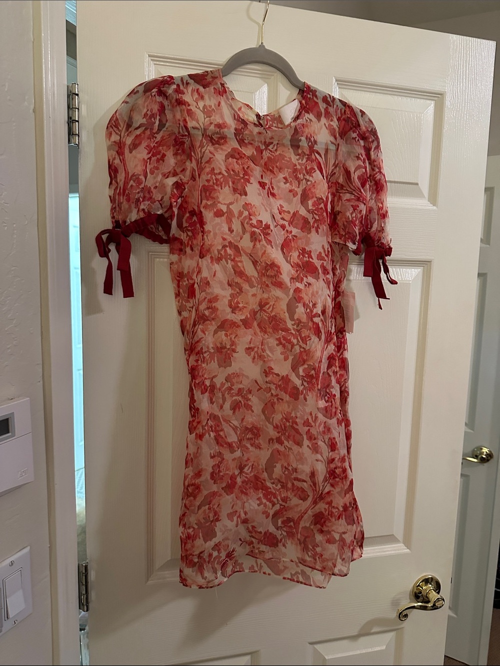 Cinq a sept sheer Floral Puff-Sleeve Sheer Dress in Red